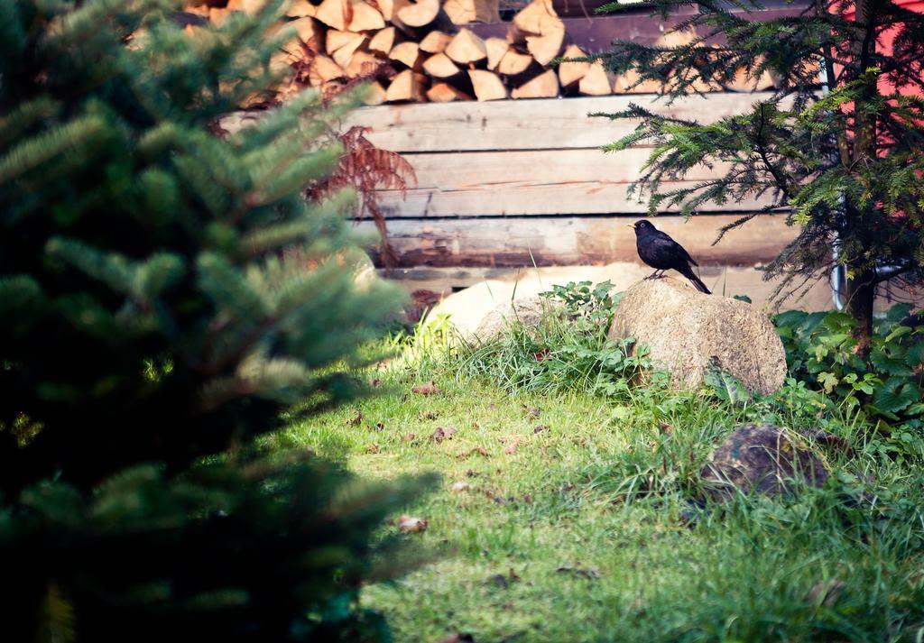 Willa Weronika Zakopane Exteriér fotografie